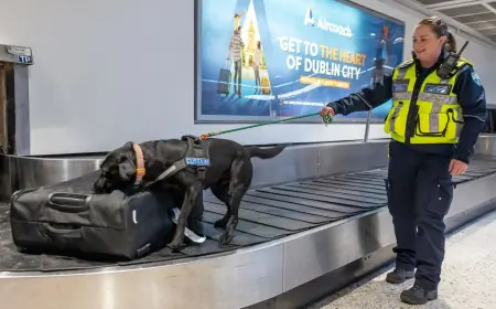 Weight-Loss Drugs Could Cut Airline Fuel and Crew Costs