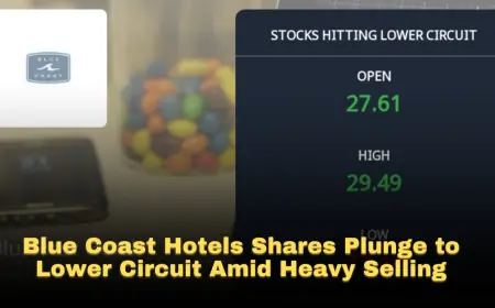 Blue Coast Hotels Shares Plunge to Lower Circuit Amid Heavy Selling