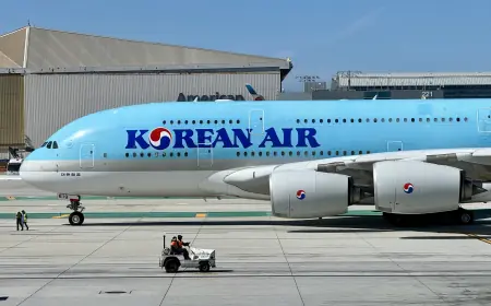 Korean Air and Asiana Sue Government Over $45 Million Fine in Merger Approval Dispute