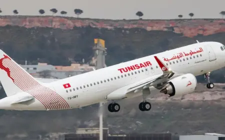 French Court Lifts Seizure of Tunisair Jet but Retains Engines