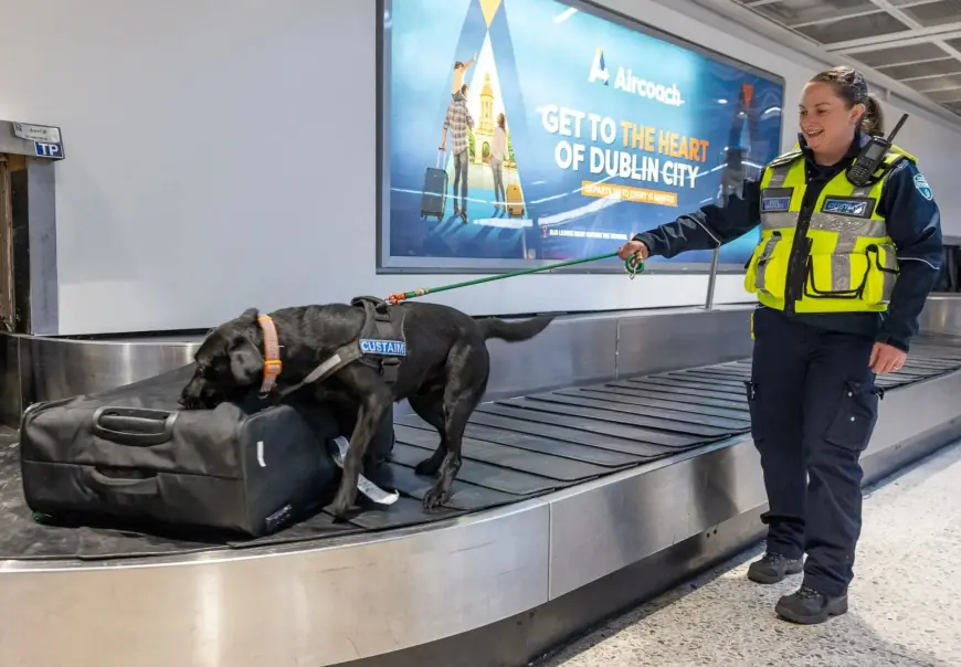 Weight-Loss Drugs Could Cut Airline Fuel and Crew Costs