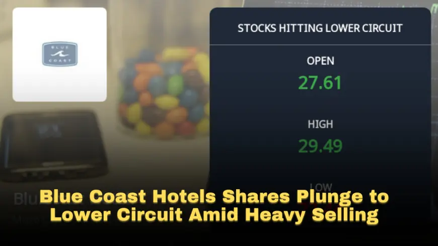 Blue Coast Hotels Shares Plunge to Lower Circuit Amid Heavy Selling