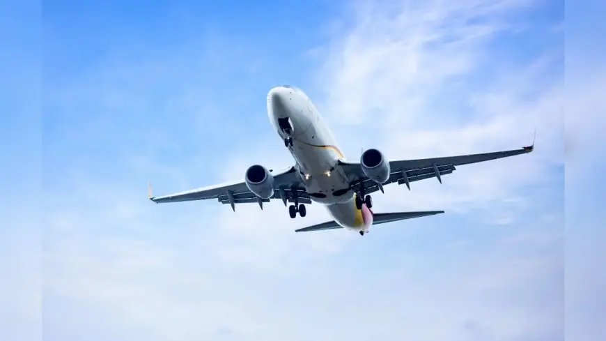 Former Flight Attendant Charged After Allegedly Fooling Three Airlines to Secure Hundreds of Free Flights