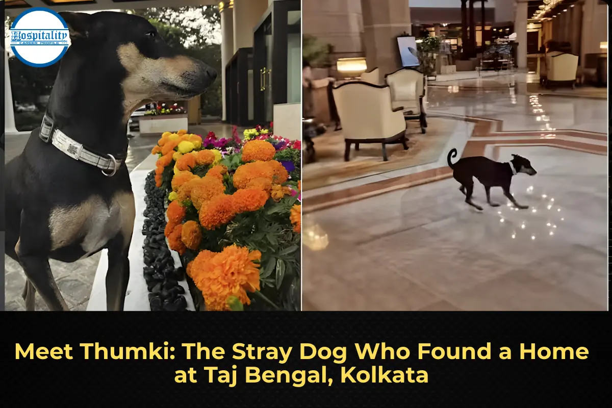 Meet Thumki: The Stray Dog Who Found a Home at Taj Bengal, Kolkata