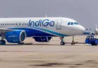 IndiGo Plans System Improvements After Major Operational Disruptions in December