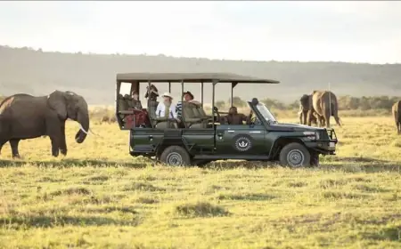 Choice Hotels Africa Expansion Strategy