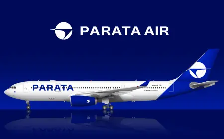 Parent Company of South Korea’s Parata to Raise Funds Amid Launch Costs