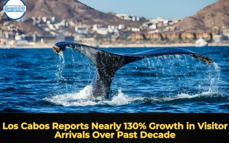 Los Cabos Reports Nearly 130% Growth in Visitor Arrivals Over Past Decade