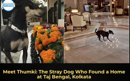Meet Thumki: The Stray Dog Who Found a Home at Taj Bengal, Kolkata