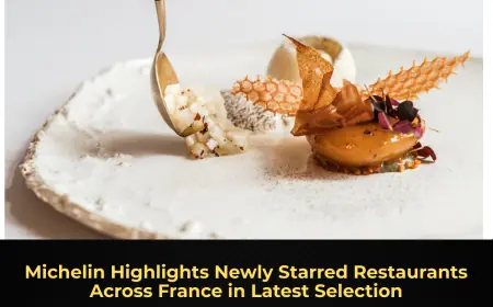 Michelin Highlights Newly Starred Restaurants Across France in Latest Selection