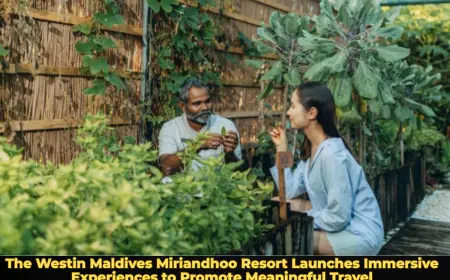 The Westin Maldives Miriandhoo Resort Launches Immersive Experiences to Promote Meaningful Travel
