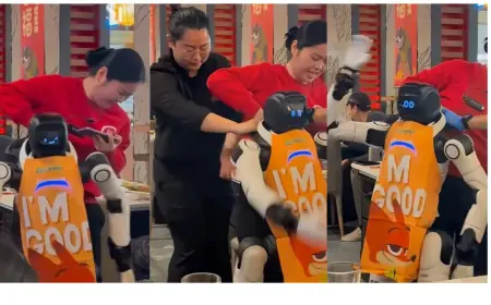 Humanoid Robot Malfunctions at California Restaurant, Disrupts Service and Raises Safety Concerns