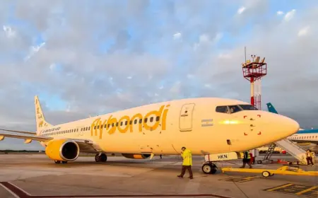 Flybondi Launches Voluntary Workforce Reduction Amid Cost Pressures