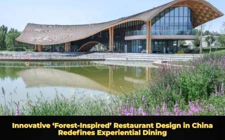 Innovative ‘Forest-Inspired’ Restaurant Design in China Redefines Experiential Dining