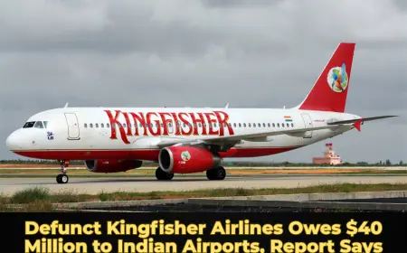 Defunct Kingfisher Airlines Owes $40 Million to Indian Airports, Report Says