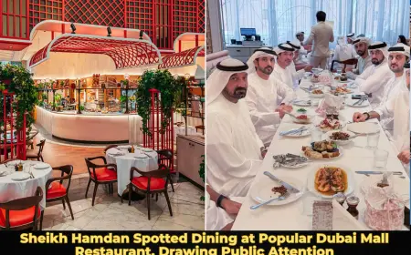 Sheikh Hamdan Spotted Dining at Popular Dubai Mall Restaurant, Drawing Public Attention