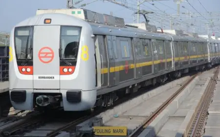 Delhi Metro Yellow Line Disrupted After Man Falls on Tracks at Vishwavidyalaya Station