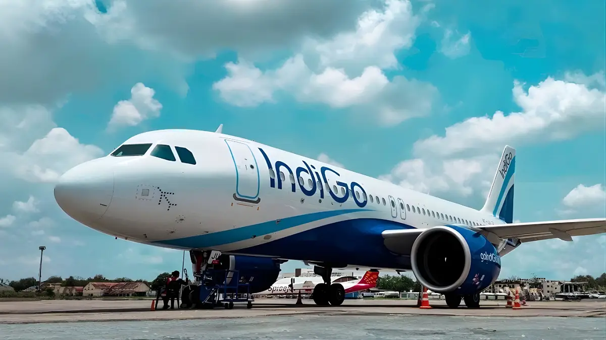 IndiGo shares jumped after the airline appointed industry veteran Willie Walsh as CEO, signaling a major leadership shift for India’s largest carrier.