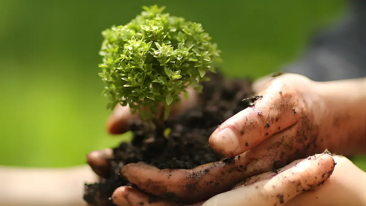 Radisson Hotel Group Marks Earth Day with Sustainability Push Across Emerging India Markets