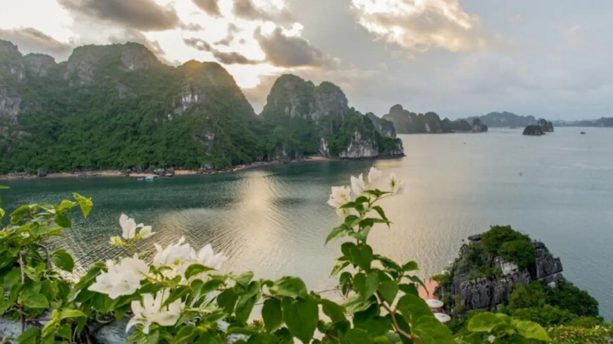 Palladium Hotel Group Hanoi Luxury Project Boosts Asia Expansion