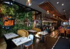 Unique Turkish Restaurant Gains Recognition Among UK Dining Destinations for Distinct Concept