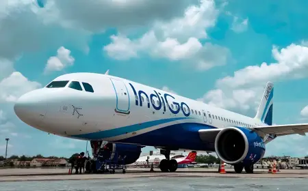IndiGo shares jumped after the airline appointed industry veteran Willie Walsh as CEO, signaling a major leadership shift for India’s largest carrier.
