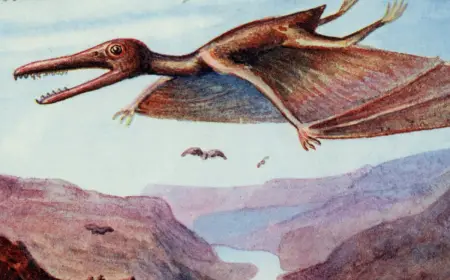 Chicago Restaurant Joins April Fools’ Buzz with Playful “Exclusive Dinosaur Dining” Story