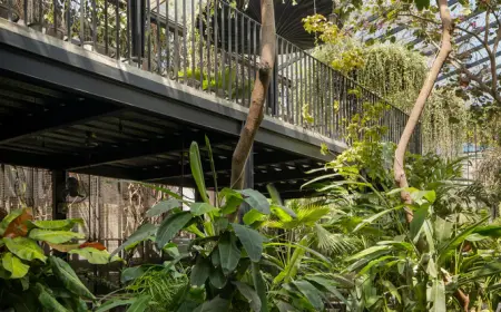 Sunrise Garden Restaurant Showcases Nature-Integrated Design in Modern Dining Architecture