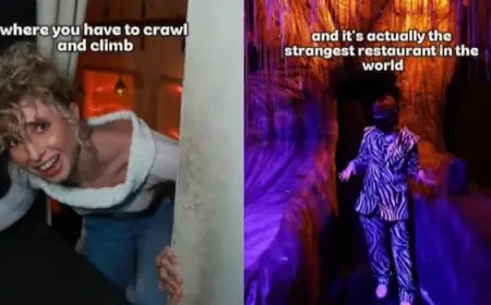 Singapore’s ‘Absurdities’ Restaurant Goes Viral for Crawl-to-Dine Concept