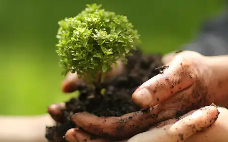 Radisson Hotel Group Marks Earth Day with Sustainability Push Across Emerging India Markets