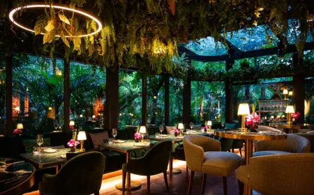The Art of Experience Building: Why Restaurants That Deliver More Than Food Win Customer Loyalty