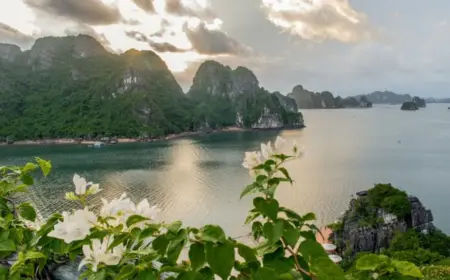 Palladium Hotel Group Hanoi Luxury Project Boosts Asia Expansion
