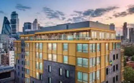 Cycas Rebrands as Vertiq Hospitality Partners