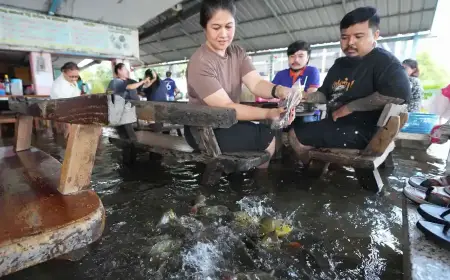 Flooded Restaurant Thailand Creates Viral Dining Experience with Fish Swimming Among Diners