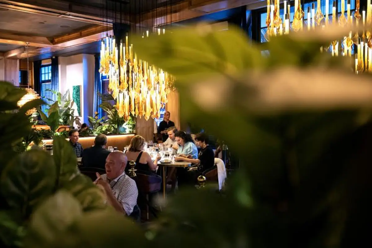 Italian Restaurant V Modern Charleston Downtown Opens with Immersive Dining Experience and Bold New Concept