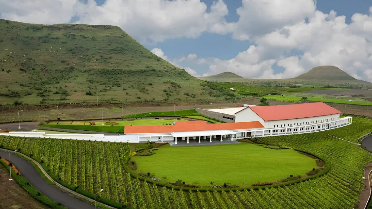 Sula Vineyards Q4 FY26 Revenue Rises 7% to ₹142.6 Cr