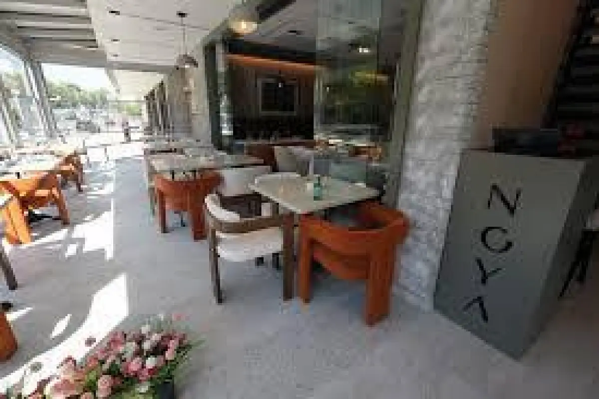 A First Look Inside Noya in Yonkers: Stunning Interiors and Gourmet Menu Highlights