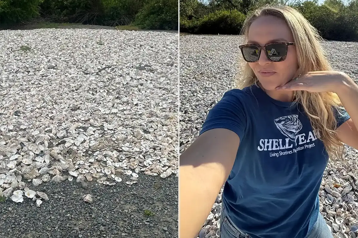Kenney Started Collecting Oyster Shells from Restaurant Kitchens Every Morning. Her Pile Just Crossed 24,000 Pounds