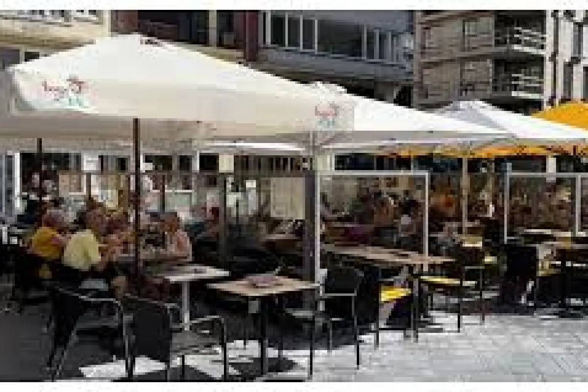 Paws and Platters: Brassi Beach Terrace: A Bistro for Dogs in Belgium Redefines Pet Hospitality