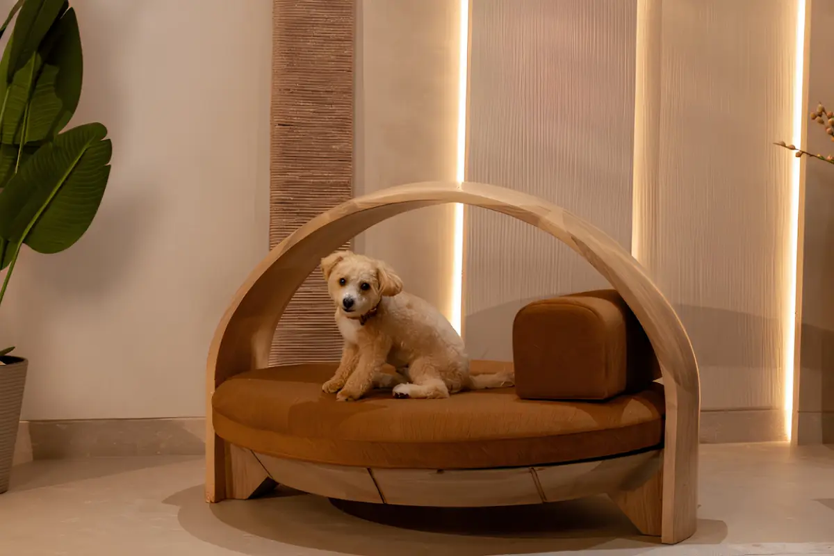 UCUORO Pet Furniture Launches Luxury Collection