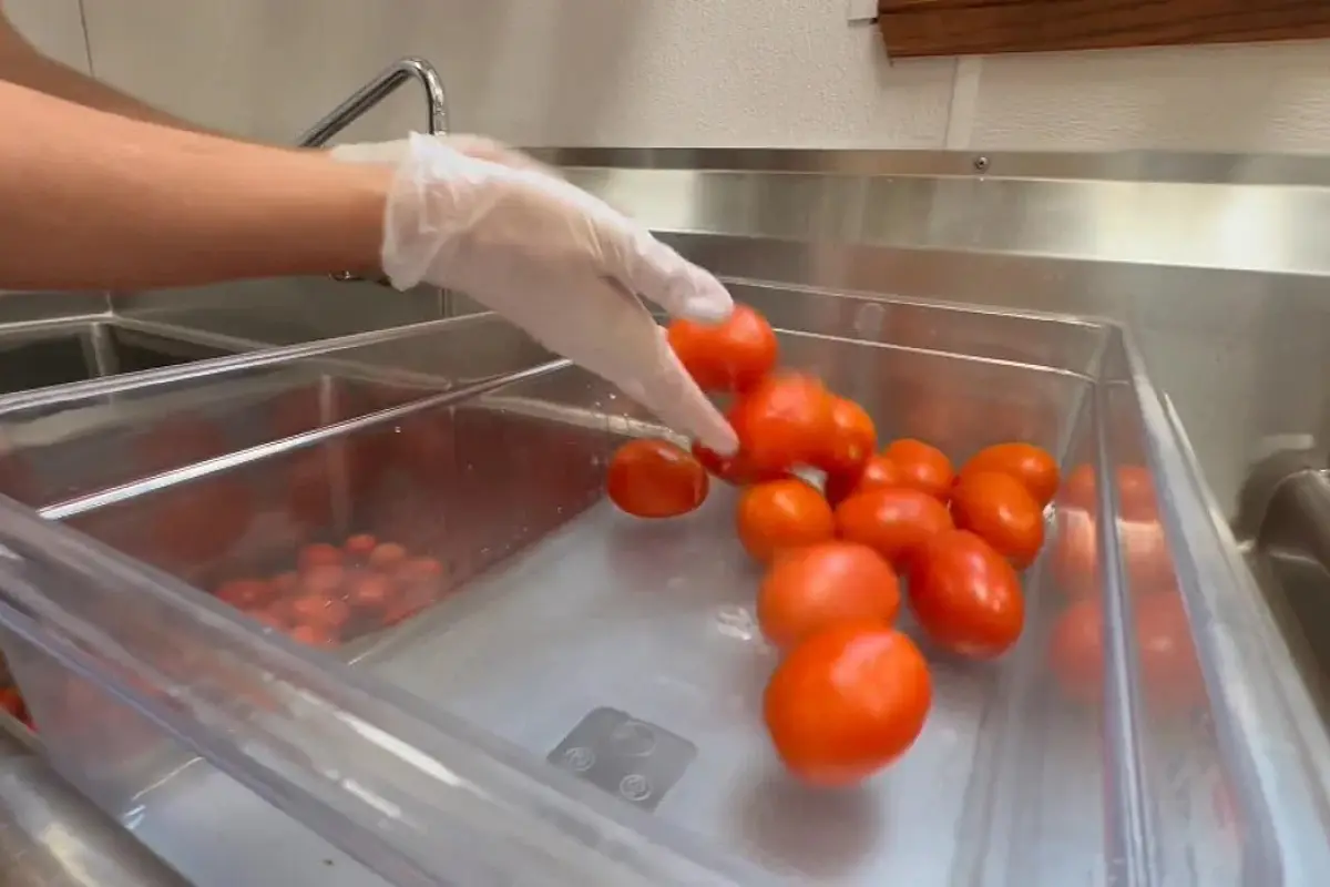 Tomato Price Spike Squeezes Cafe Mexicali and Northern Colorado Restaurants