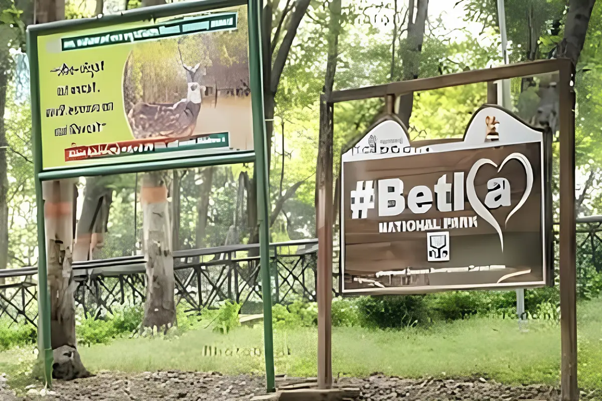 NGT Issue Notice Over Illegal Hotels Near Tiger Reserve