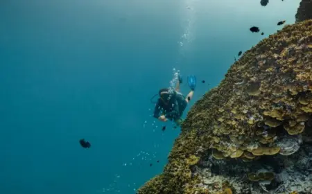 Dhawa Ihuru Rannamaari Dive Fest 2026: Maldives Reef Event