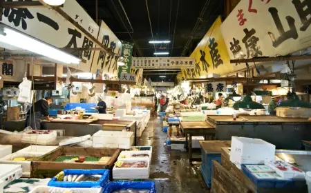 Miami Seafood Restaurant Imports Fresh Fish From Japan to Redefine Premium Dining Experience