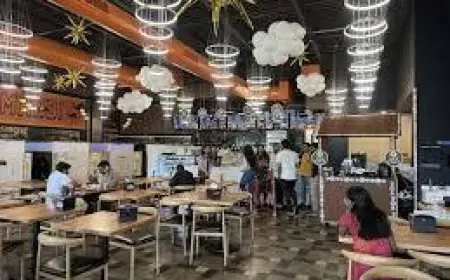 Johnson County Indian Restaurant Opens With Massive Menu Featuring Chaat, Chai, and Regional Specialties