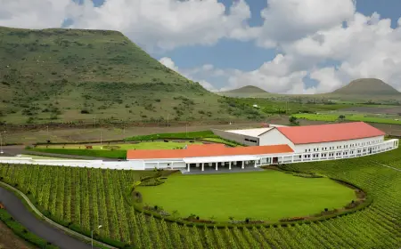 Sula Vineyards Q4 FY26 Revenue Rises 7% to ₹142.6 Cr