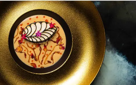 The Ultimate Guide to America’s MICHELIN-Starred Indian Restaurants: Elevated Flavors