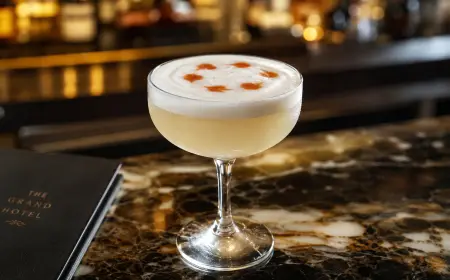 Pisco Sour Cocktail Recipe with SOP, Garnish & Presentation Guide