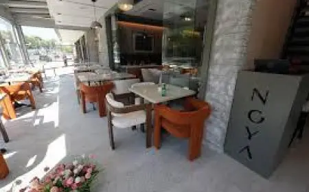 A First Look Inside Noya in Yonkers: Stunning Interiors and Gourmet Menu Highlights