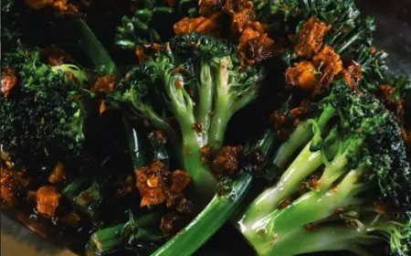Mimi Chinese Toronto: Reimagining Regional Flavors with a Bold 2026 Refresh